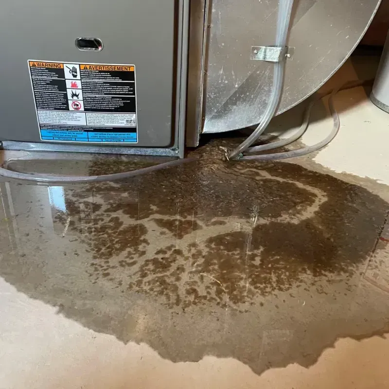 Appliance Leak Cleanup in Mount Hope, WV